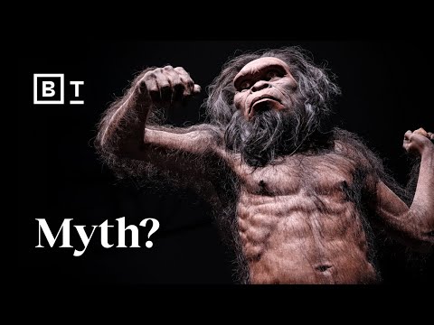 我們的古代祖先並不是千斤頂。他們是節約能源的人。| 丹尼爾-利伯曼 (Our ancient ancestors weren’t jacked. They were energy savers. | Daniel Lieberman)