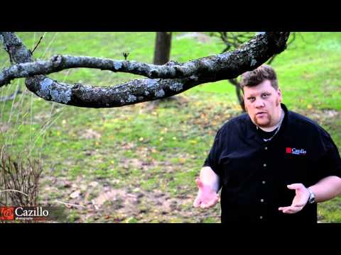 Change Your Camera Angle - Photography Quick Tip #7