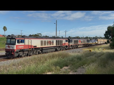 SCT’s CSR004, CSR015 & CF4429 with 2BM9 at Telarah - 18/3/25