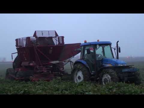 Landb. Vergauwe - Leffinge - TIM M III S TEA