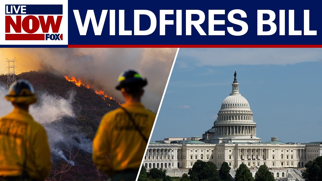 DC smog caused by wildfires drives push for bipartisan bill