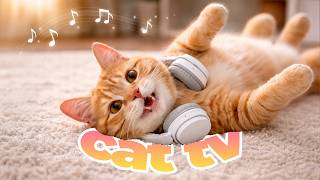 CAT TV | Relaxing Videos for Cats with Calming Music | Ultimate Cat Entertainment & Enrichment