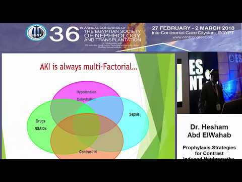 Prophylaxis Strategies for Contrast Induced Nephropathy  ESNT 2018 prof  Hesham Abd ElWahab