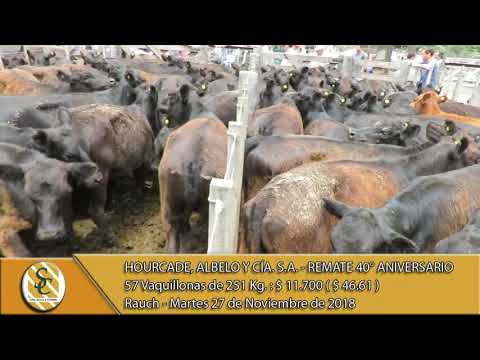 27-11-18 Venta de Hembras - Hourcade, Albelo y Cía. S.A. - Rte. 40° Aniv. - Rauch