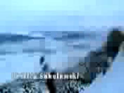 QCIF 3gp h263+amr 830K