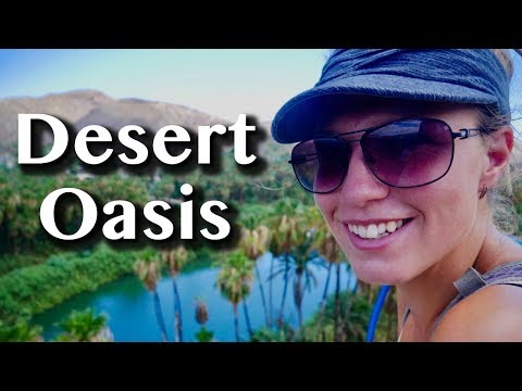 SAILING TO A DESERT OASIS [Adventure #74]
