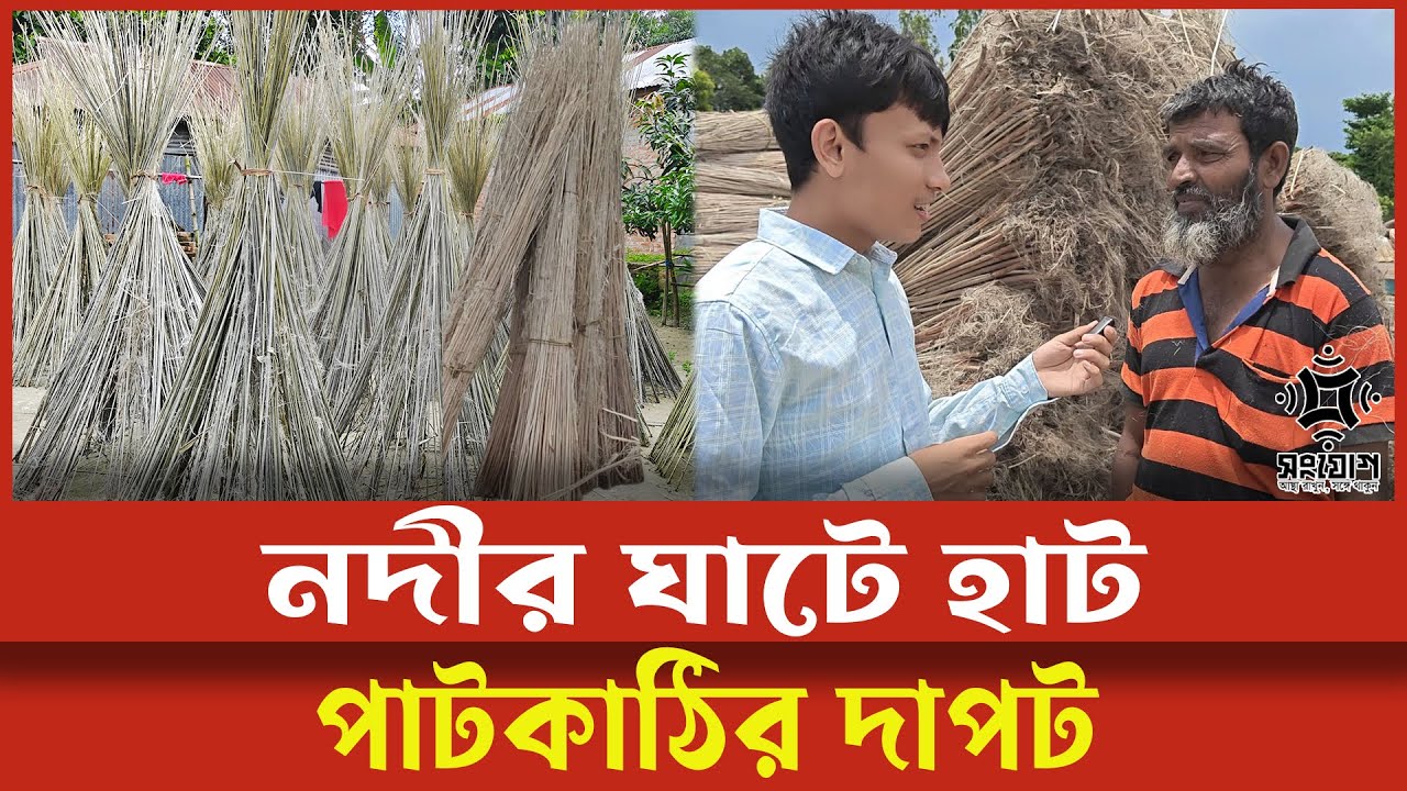 নদীর ঘাটে পাটকাঠির হাট – গরিব কৃষকের ভাগ্য বদলে দিচ্ছে!
