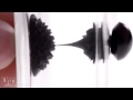 Short Ferrofluid demo video.