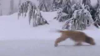 Mitchel Musso-Lean on me official Music video