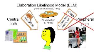 Central and Peripheral Route