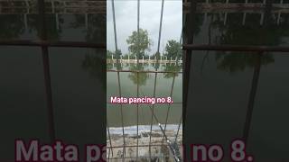 Download lagu kok bisa kena to..#shortsviral #fishing #soundviral #mancing #shorts mp3