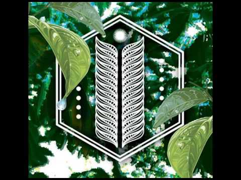 Coyote Kisses - Ferrari