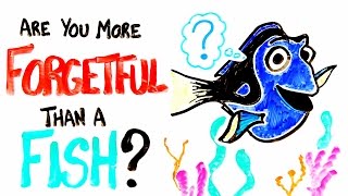 Are You More Forgetful Than A Fish?