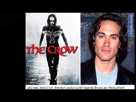 Toroid - TOROID   VRÁNA