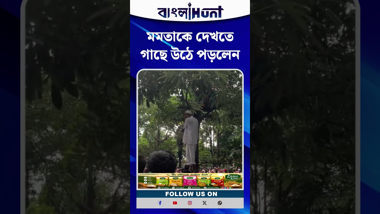 মমতাকে দেখতে গাছে উঠে পড়লেন