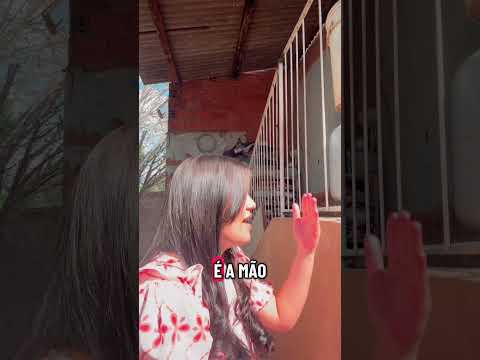 🎶❤️            #louvoresdeadoração #explorar #mineirosgoias #jovenscristãos