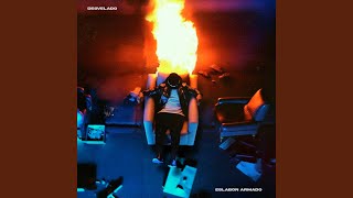 Cover art for Así lo quiso dios