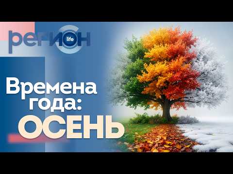 Времена года: осень | ОТС LIVE — прямая трансляция