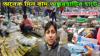 অনেকদিন পরে Ankurhati Fish Haat এ | Ankurhati Pet Market | Aquarium Fish Haat Shop | অঙ্কুরহাটি হাট 