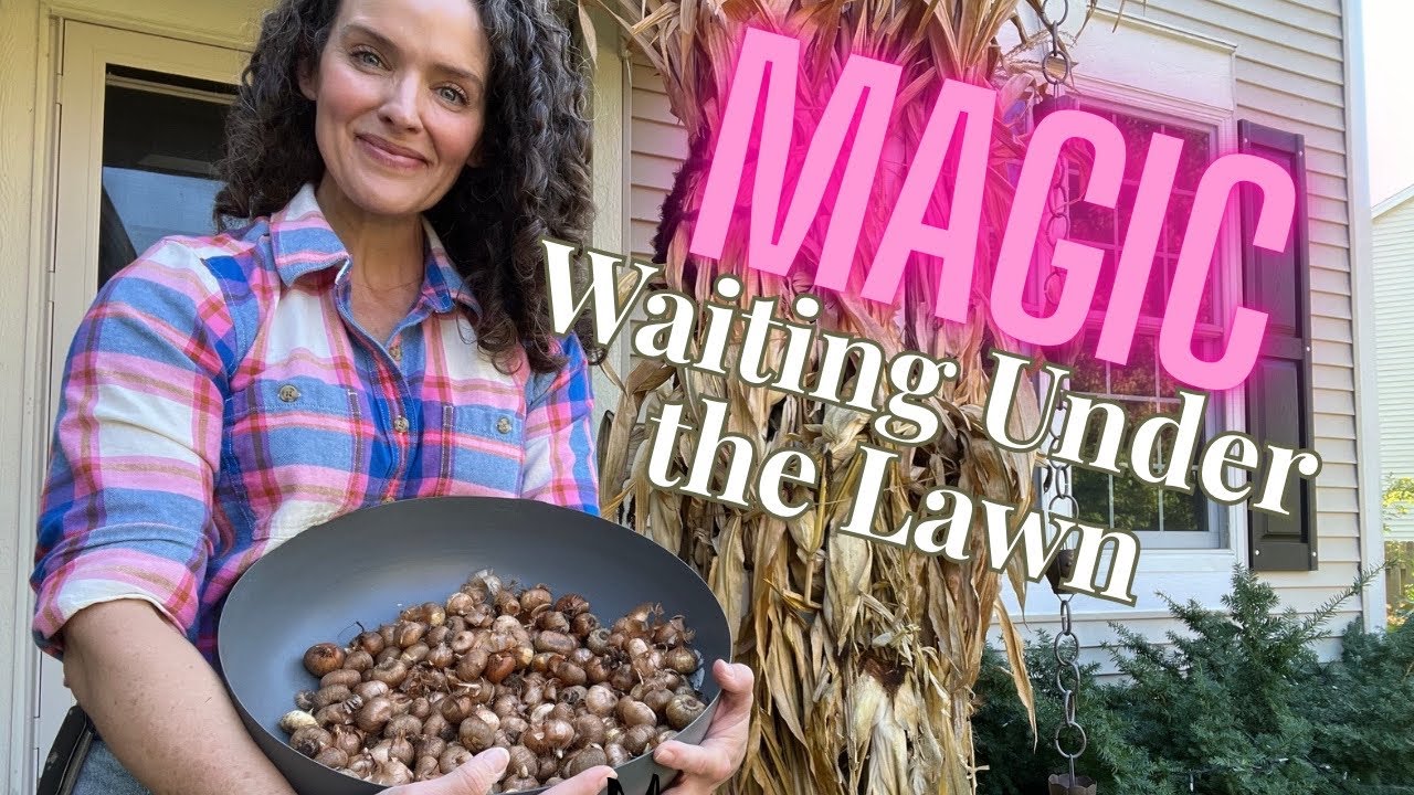 How to Naturalize Crocus Bulbs for a Colorful Spring Lawn