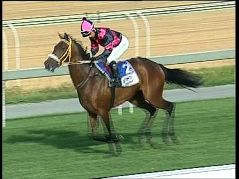 MR 94  1800m Vaal March 2011