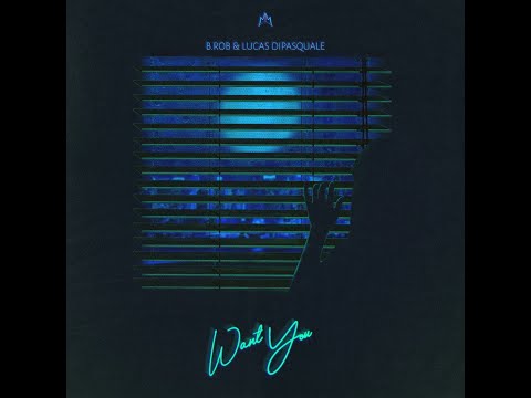 B.ROB ft. Lucas Dipasquale - Want You (OFFICIAL LYRIC VIDEO)