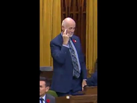 Did this Liberal MP give Conservatives the middle finger?