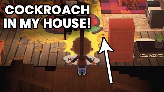 COCKROACH IN MY HOUSE! & Messy Hair (1 Month Away) | Animal Crossing New Horizons