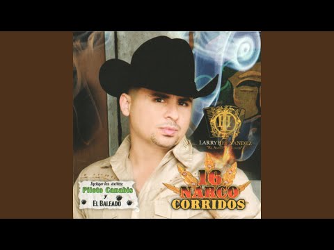 El Cartel De Los Pesados