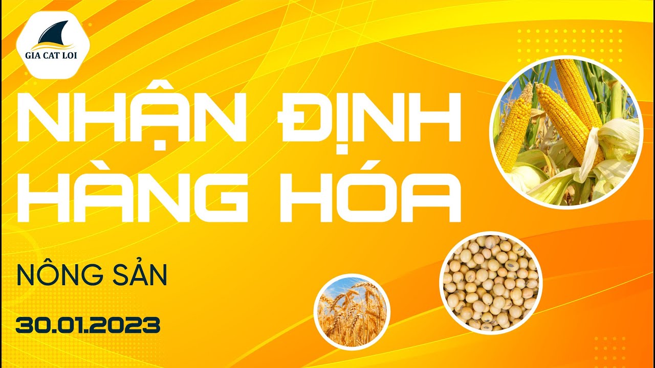 Nhận Định Hàng Hoá Nông Sản Ngày 30/01/2023