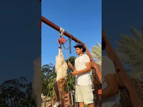 An Amazing Way to Cook a Whole Goat Outdoors #shorts
