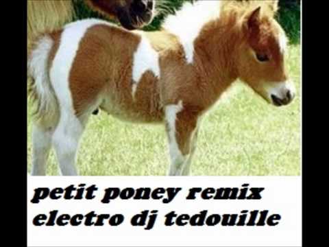 PETIT PONEY REMIX ELECTRO BY DJ TEDOUILLE.