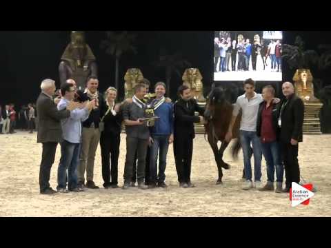 2nd-N.173 FEUER JADE - Verona 2015 - Junior Males Championship (Class 16)