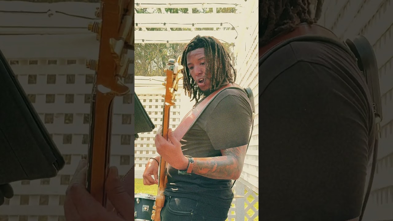 Promotional video thumbnail 10 for Electric Harmony