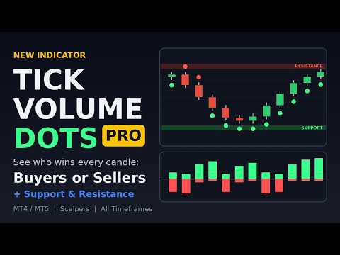Video TickVolumPro