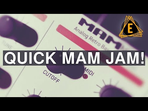 MAM MB 33 Retro - TB-303 Clone Synth image 5