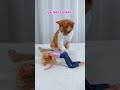 Cat Disciplines Action Barbie #shorts