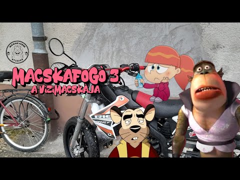 Macskafogó 3. A vízimacskája