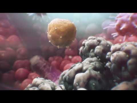 CAR T Cell Therapy Explained (Animation) | City of Hope