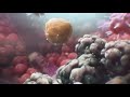 CAR T Cell Therapy Explained (Animation) | City of Hope - City of Hope CAR T Cell Therapy Explained (Animation) | City of Hope