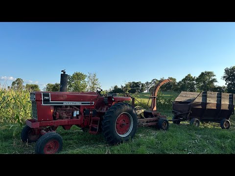 My FIRST time CHOPPING SILAGE! Will my $200 chopper work?