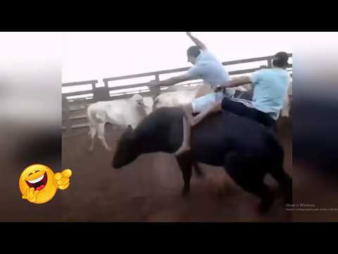 Animais de Fazenda Espertos e Engraçados! 😂🐮 (Parte 16)**