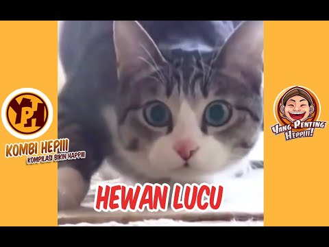 kombi-heppiii-hewan-lucu