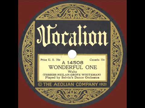 1923 Ben Selvin - Wonderful One