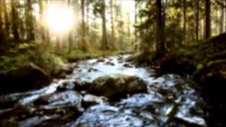 Video Deicolos - Ranný vánok ďalších dní