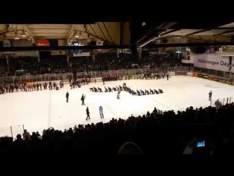 Kassel Huskies: Die Raupe in die Aufstiegsrunde