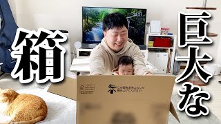 めちゃくちゃでかい箱が届いた
