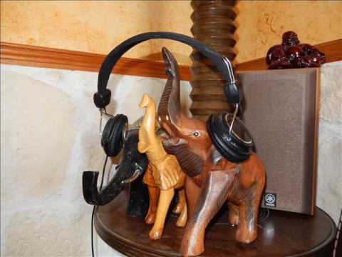 SMK DFC - Antisocial