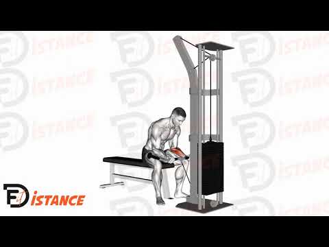 Exercice Curl de poignet à la poulie basse