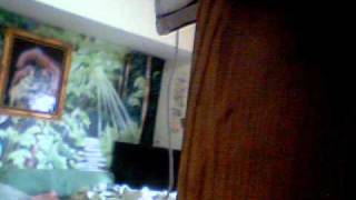 Jessie James - Burnin' Bridges(Cover)